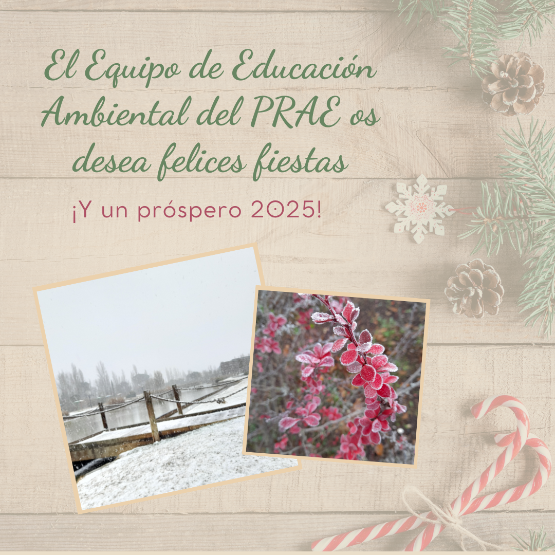 FELICES FIESTAS Y FELIZ 2025